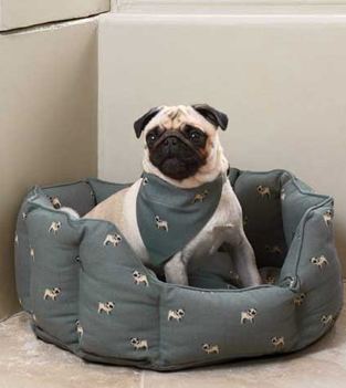 Pug slate Blue